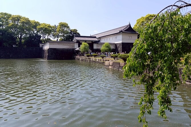 Tokyo: Imperial Palace and Shogun Historical Walking Tour - Who should book this walk?