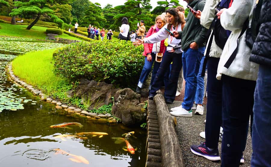 Tokyo: Imperial Palace Japanese History Walking Tour - Why Edo Castle matters to your Tokyo visit