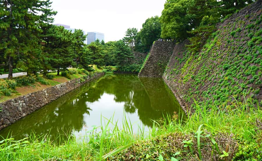 Tokyo: Imperial Palace Japanese History Walking Tour - Bamboo, koi, and gifts to the emperor