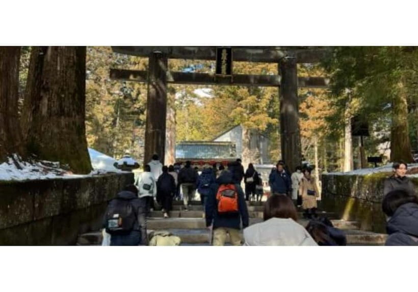 Tokyo: Nikko World Heritage Private Day Trip Hotel Pick-up - Why a private car helps on a Nikko day