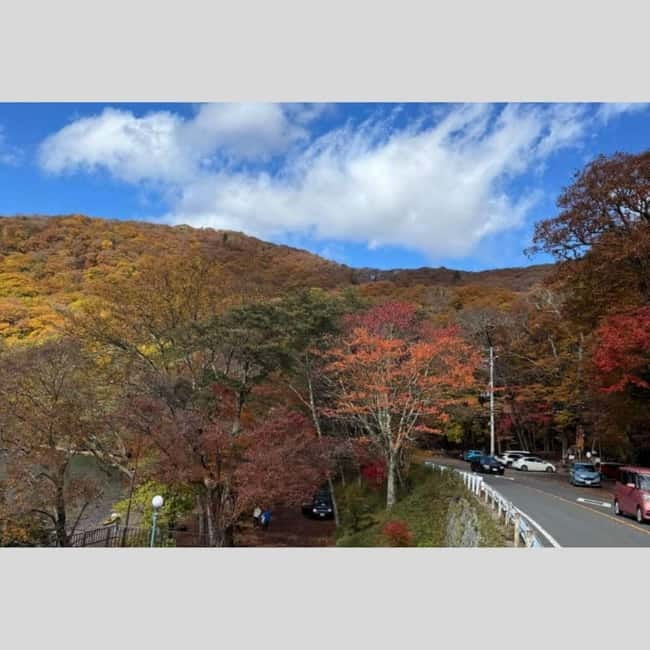 Tokyo: Nikko World Heritage Private Day Trip Hotel Pick-up - Toshogu Shrine is the cultural center of the day