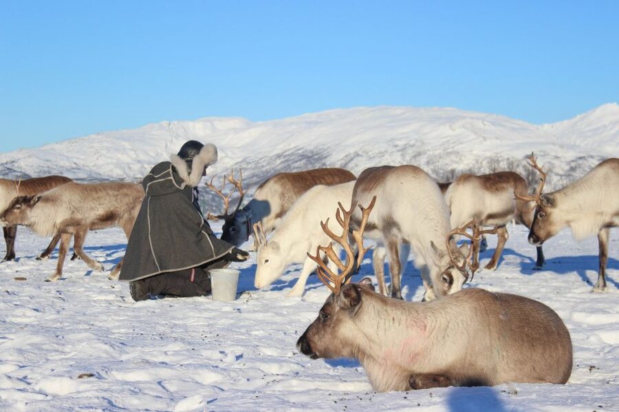 Tromsø: Reindeer Camp and Sami Cultural Tour with Lunch - The short ride from Tromsø to the reindeer camp