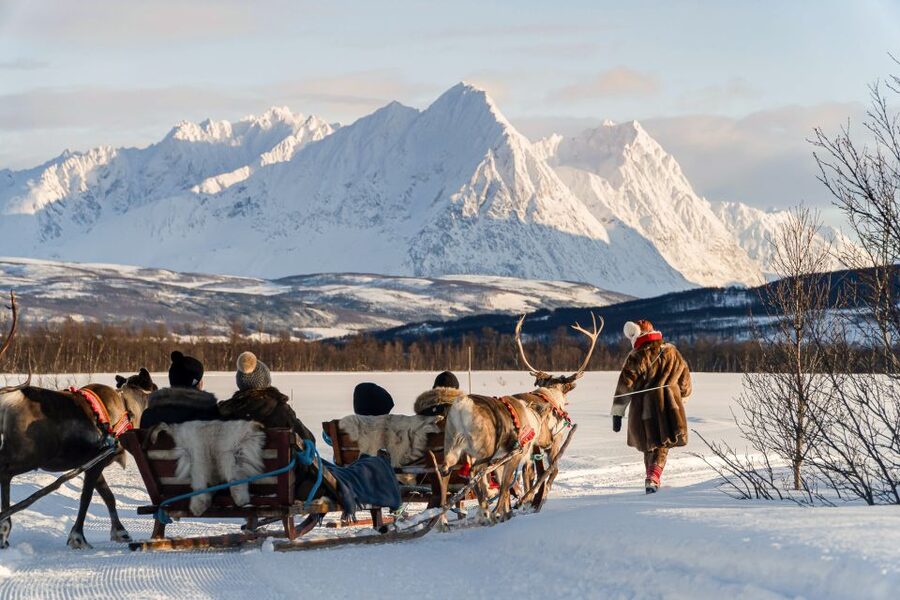 Tromsø: Sámi Reindeer Sledding and Sami Cultural Tour - Key points to know before booking