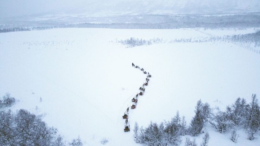 Tromsø: Sámi Reindeer Sledding and Sami Cultural Tour - From Tromsø to the reindeer camp