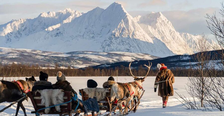 Tromsø: Sámi Reindeer Sledding and Sami Cultural Tour - A quiet 30-minute sled ride
