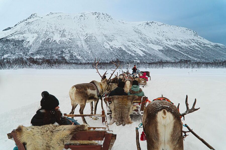 Tromsø: Sámi Reindeer Sledding and Sami Cultural Tour - How the group is handled