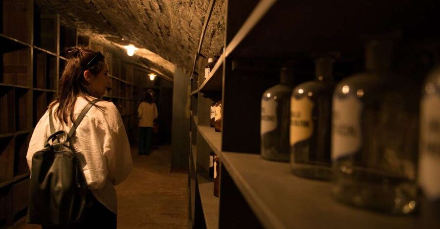 Vienna: Historical Pharmacy Cellar Guided Tour - Descending into the old medicine cellar