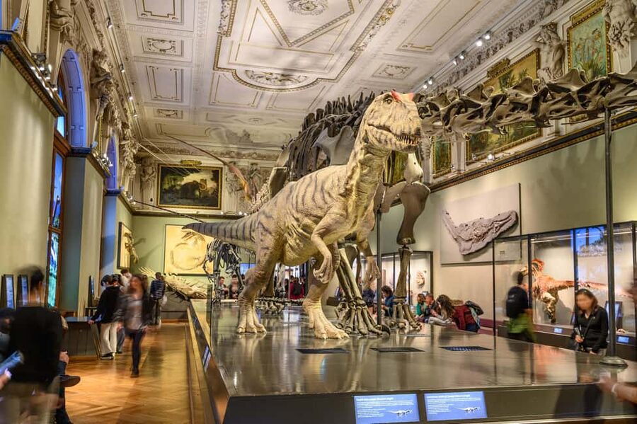 Vienna: Ticket to the Museum of Natural History - The lower floor, from meteorites to prehistoric gold
