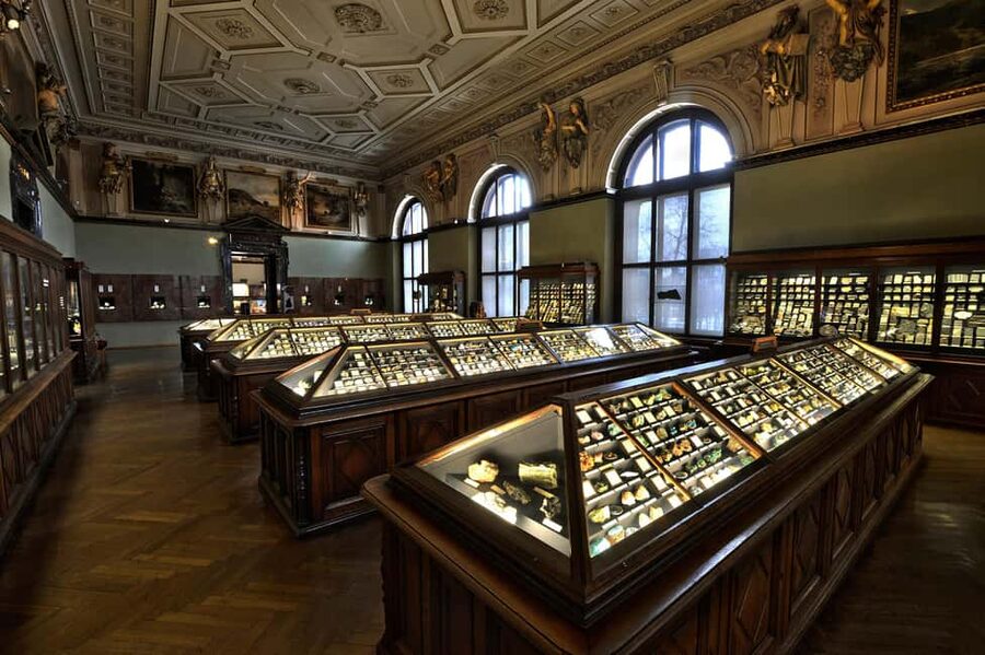 Vienna: Ticket to the Museum of Natural History - The rooftop view over Vienna