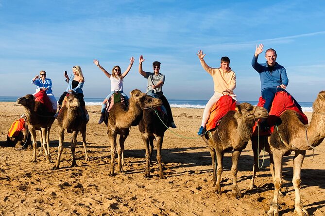 Walking Tangier Tour from ancient Kasba to Bustling Souks - Dar El Makhzen adds palace rooms and old maps