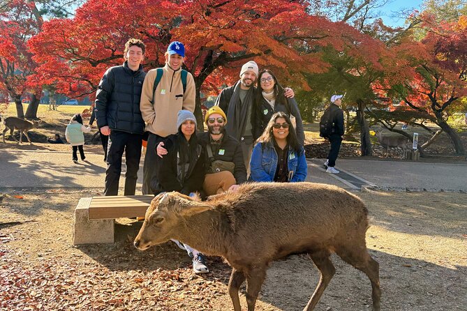 World Heritage Kyoto & Nara Uji Authentic Matcha Experience - Why this Nara and Uji route works